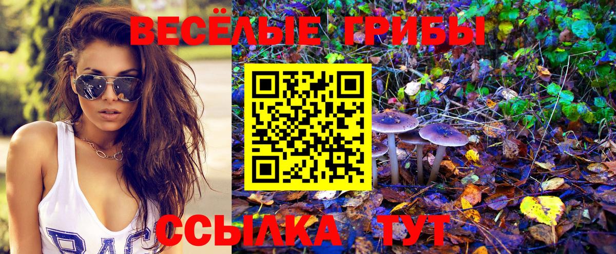 Павловский Посад  Галлюциногенные грибы прущие грибы  Вход с VPN 